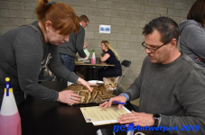 Antwerpen 2019DSC 0274