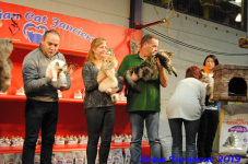 turnhout 2019-0222