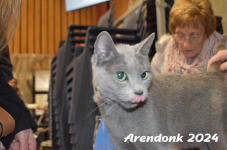 Arendonk 2024 116