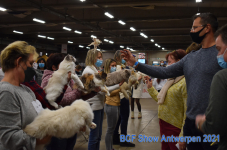 Show Antwerpen 2021 338