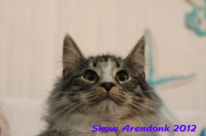 arendonk 2012 338