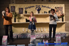 Antwerpen 2019DSC 0437