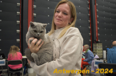 Antwerpen 221