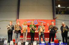 turnhout 2019-0180