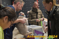 Antwerpen 039
