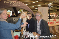 Schow Antwerpen 2023 126