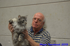 turnhout 2019-0255