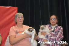 Arendonk 2024 538