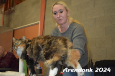 Arendonk 2024 371