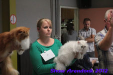 arendonk 2012 253