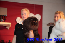 bcf antw 2010 234
