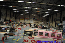 turnhout 2019-0039