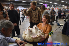 Antwerpen 2019DSC 0189