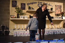 Antwerpen 2019DSC 0201