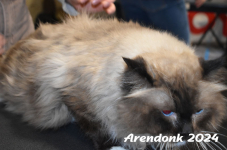 Arendonk 2024 151