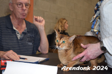 Arendonk 2024 258