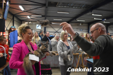 Laakdal 2023 353