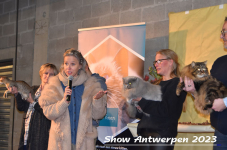 Schow Antwerpen 2023 434