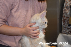 Arendonk 2024 126