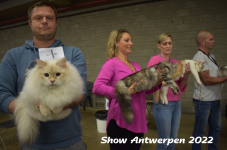 Antwerp 2022161