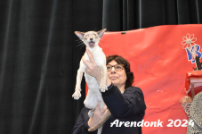 Arendonk 2024 415