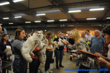 antwerp 2018 0302