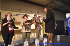 Antwerpen 2019DSC 0453