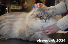 Arendonk 2024 123