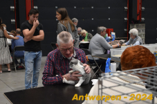 Antwerpen 261