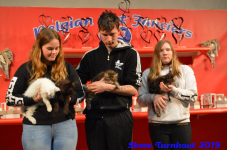turnhout 2019-0434