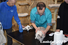 Laakdal 2023 059