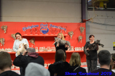turnhout 2019-0429