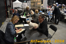 Antwerpen 178