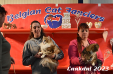 Laakdal 2023 447