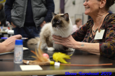 turnhout 2019-0332