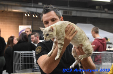 Antwerpen 2019DSC 0332