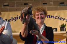 Antwerpen 2019DSC 0405