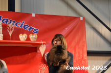 Laakdal 2023 322