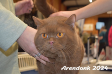Arendonk 2024 101