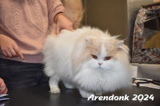 Arendonk 2024 148