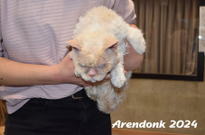 Arendonk 2024 110