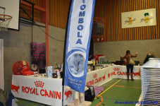 Katttenshow Arendonk 2020 DSC 0013