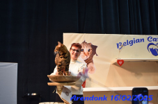 DSC 0384