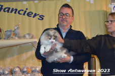 Schow Antwerpen 2023 291