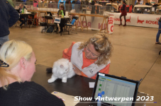 Schow Antwerpen 2023 127