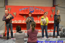 turnhout 2019-0381