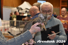 Arendonk 2024 489