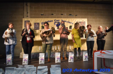 Antwerpen 2019DSC 0454