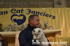 Schow Antwerpen 2023 310