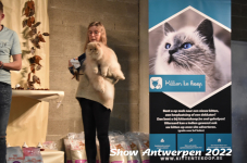 Antwerp 2022319